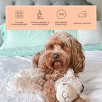 Peachskinsheets Mint Julep Sheet Set - 1500Tc Level Of Softness - Extra Soft Cooling Sheets For Hot Sleepers And Night Sweats -