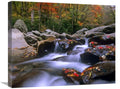 Global Gallery Little Pigeon River Cascading Among Rocks and Colorful Maple Leaves, Great Smoky Mountains National Park, Tenness