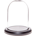 Plymor 3'' x 4'' Glass Display Dome Cloche (Black MDF Wood Base)