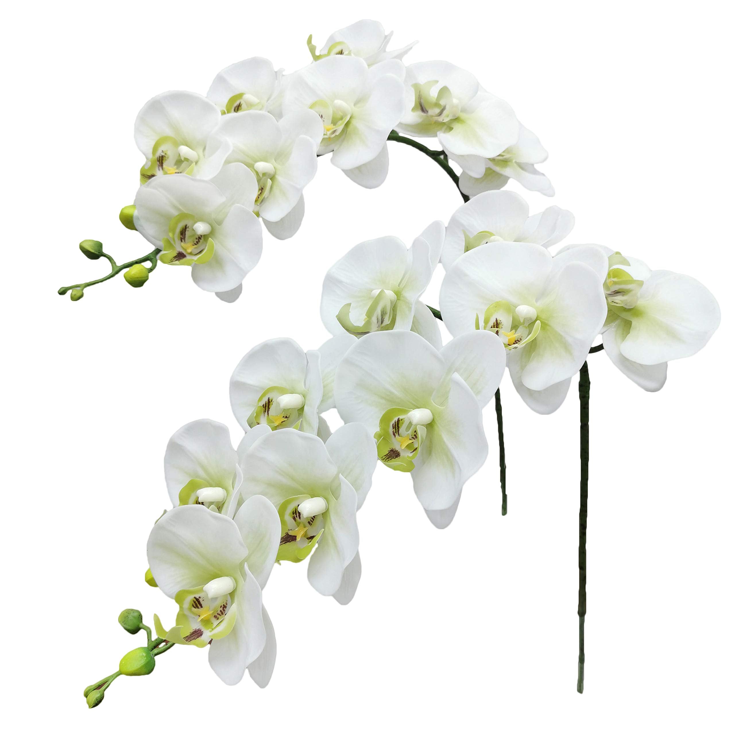 Fnize Faux Orchid Stems Real Touch Artificial Phalaenopsis Flowers Latex Petals 38 Inches 2pcs (Green White)