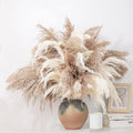 Roollya 28' Inch 20 Stems Large Pampas Grass Decor - Fluffy Brown & White Pampas Grass Decor Tall Pompas Grass For Floor Vase -