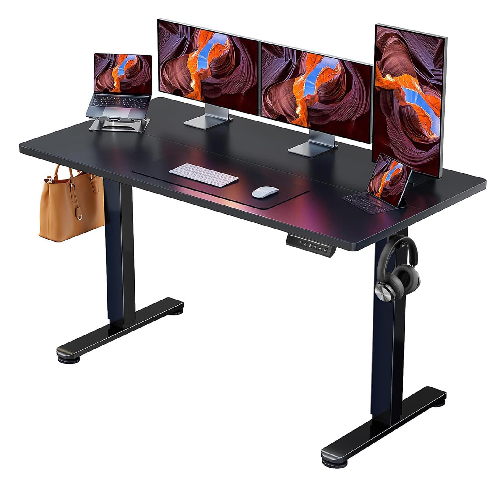 ErGear Height Adjustable Electric Standing Desk, 55 x 28 Inches Sit Stand up Desk, Large Memory Computer Home Office Desk with T