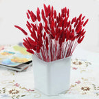 Cisdueo 120Pcs Dried Bunny Tails Flowers Red Lagurus Ovatus Tail Dried Flowers Pampas Grass Natural Dried Floral Arrangement For