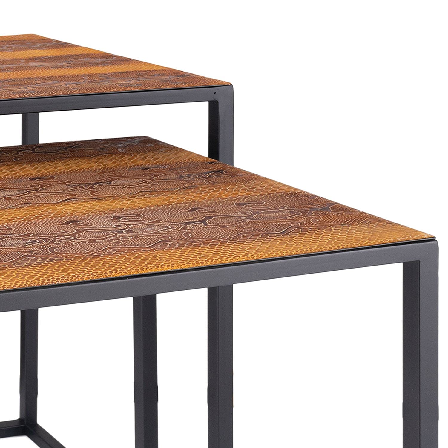 HomeRoots Set of 2 Rectangular Black Powder Coated Frame and Rattlesnake Faux Leather Top Nesting End Tables