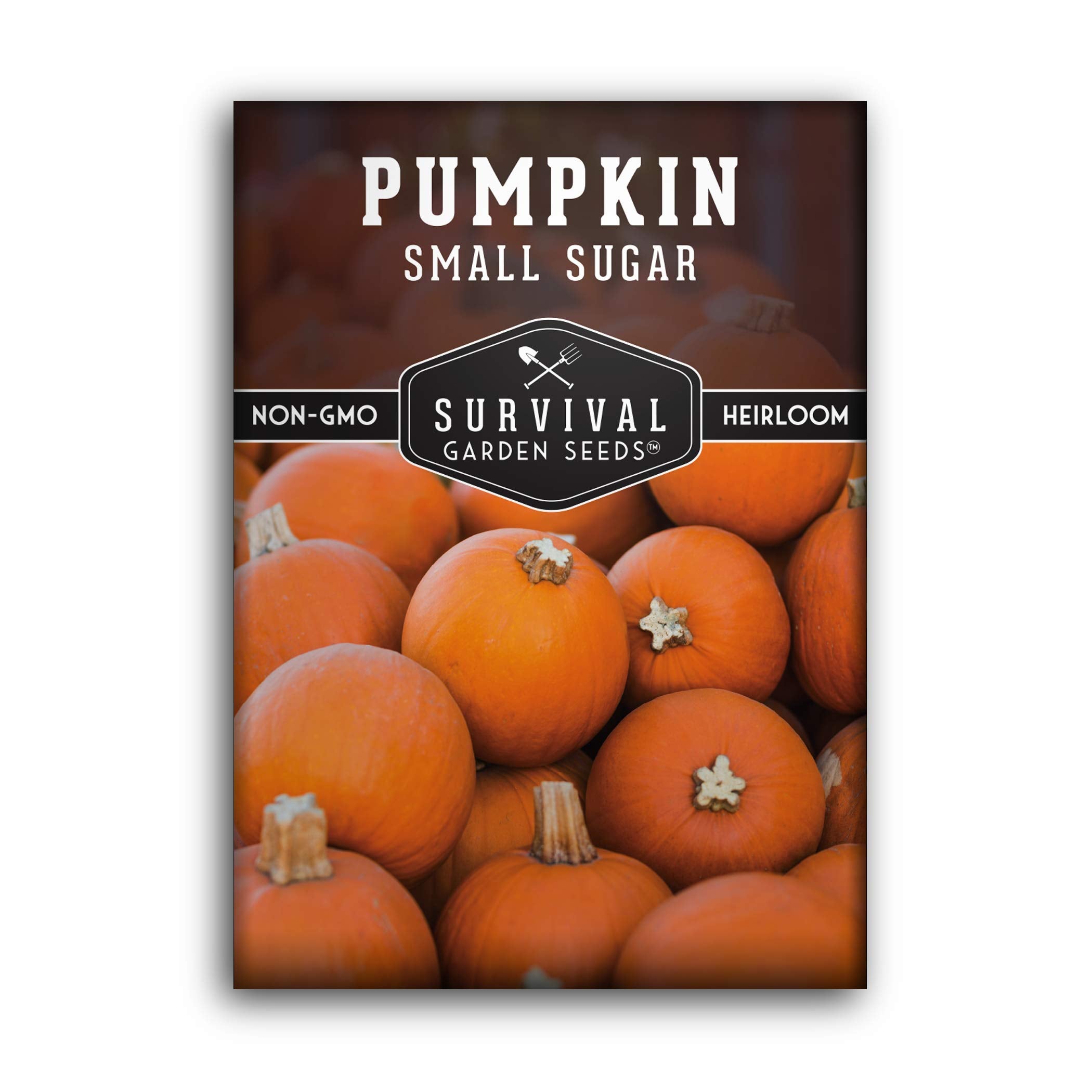 Survival Garden Seeds - Small Sugar Pumpkin Seed For Planting - Packet With Instructions To Plant And Grow Pie Pumpkins In Your