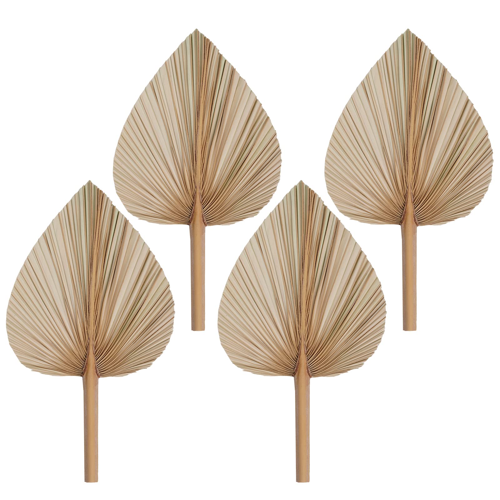 Rbenxia 4 Pieces Natural Dried Palm Leaves Heart Shape Boho Palm Fans Tropical Palm Leaves Dried Flowers for Holidays Weddings P