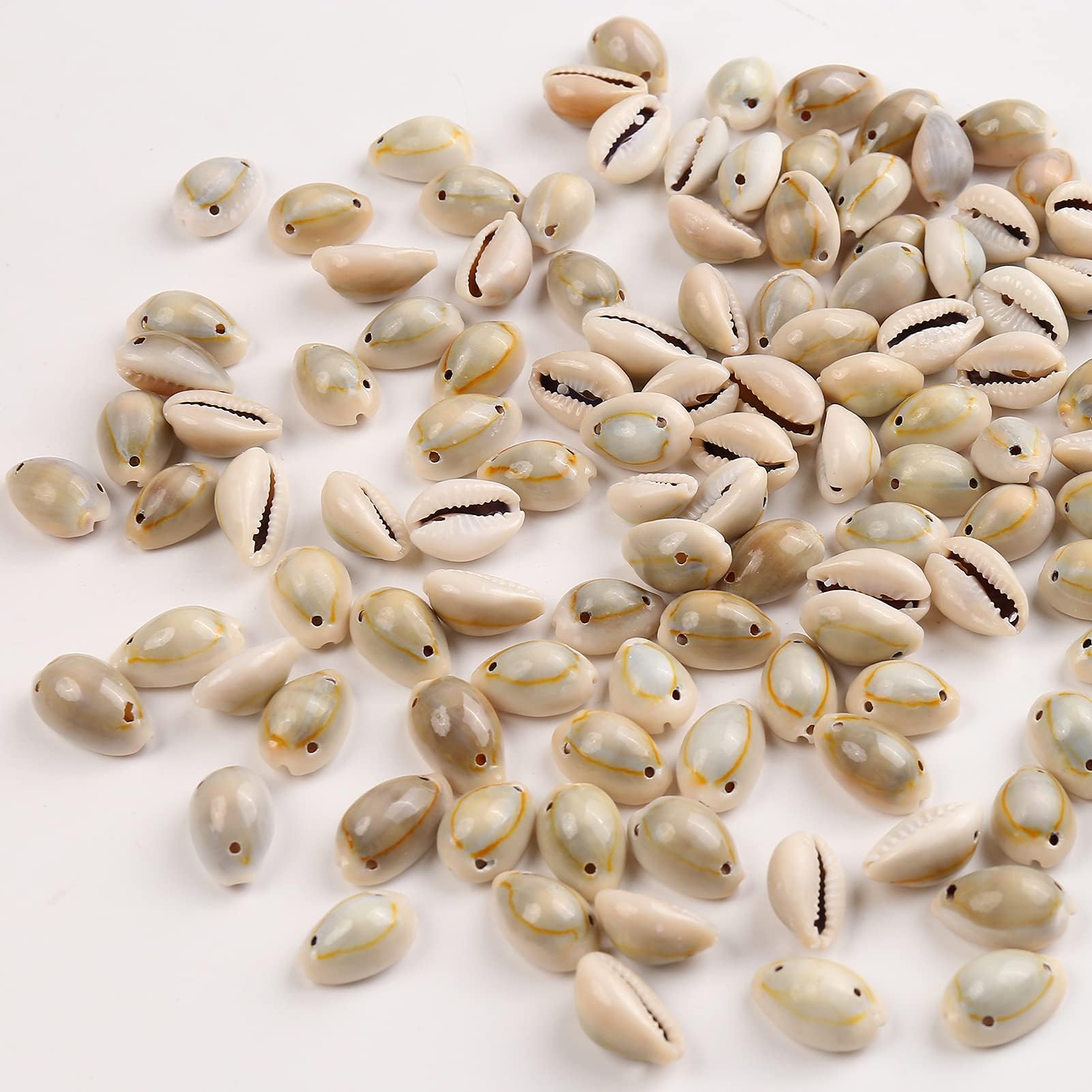 Herzwild Spiral Shell Beads Tiny Natural Sea Shell Ocean Spiral Seashells Ocean Beach Spiral Seashells Craft Charms For Resin Cr