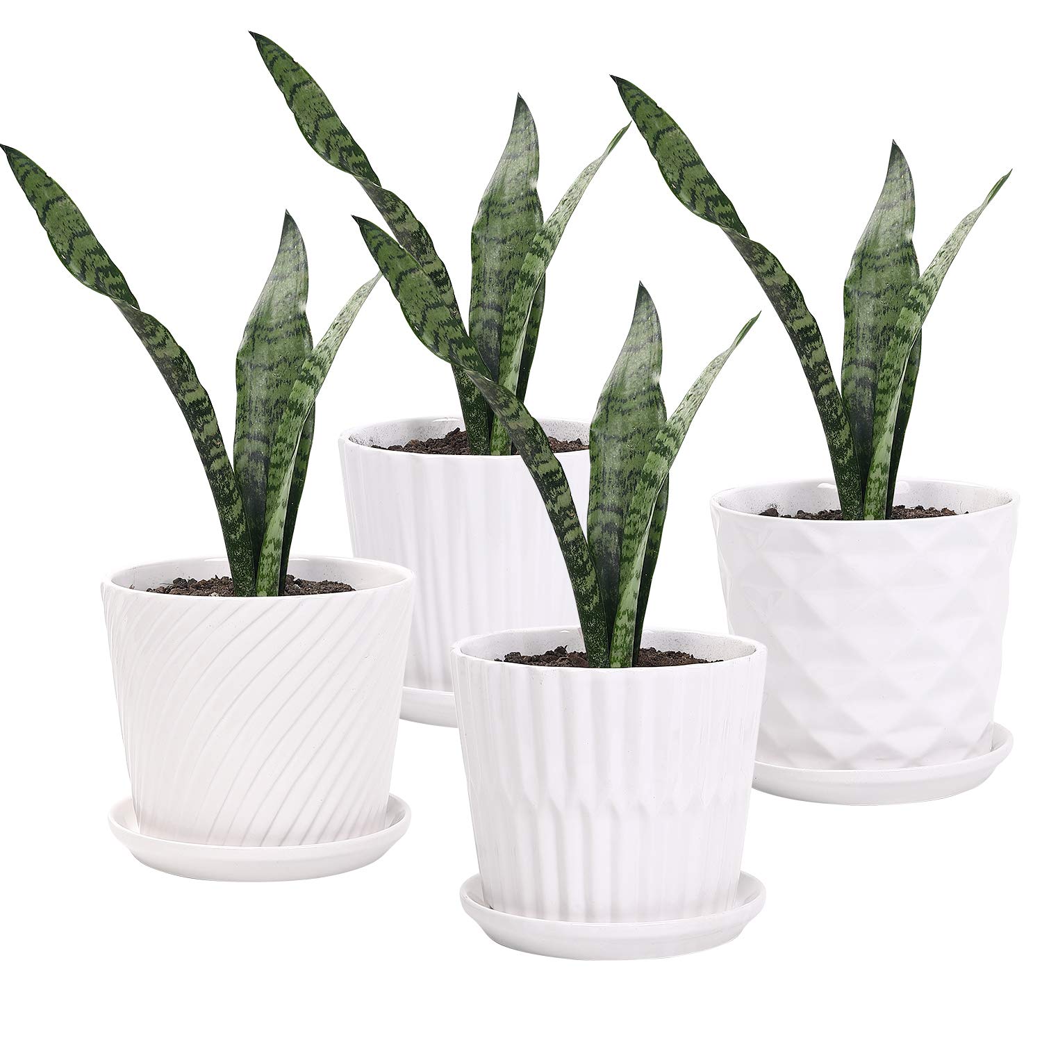 Sietpoek Plant Pots - 5.5 Inch Cylinder Ceramic Planters With Connected Saucer, Pots For Succuelnt And Little Snake Plants, Set