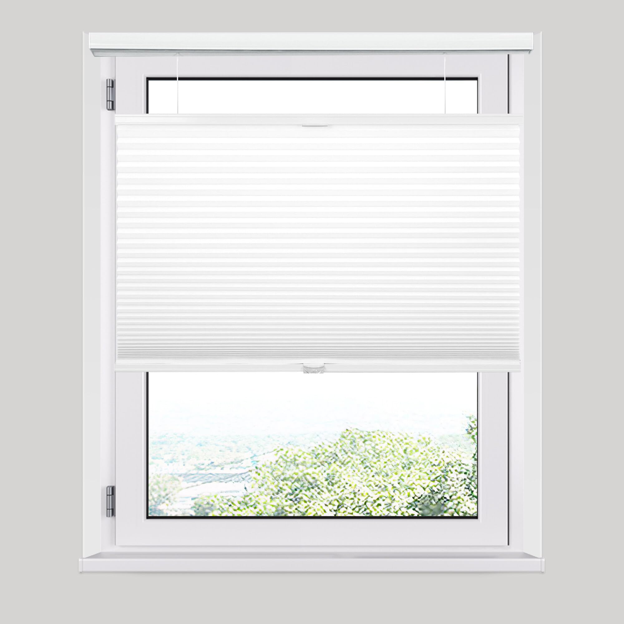 Allesin Top Down Bottom Up Cellular Shades,Blackout Cellular Shades Noise Reduction,Cordless Cellular Shades Room Darkening Hone