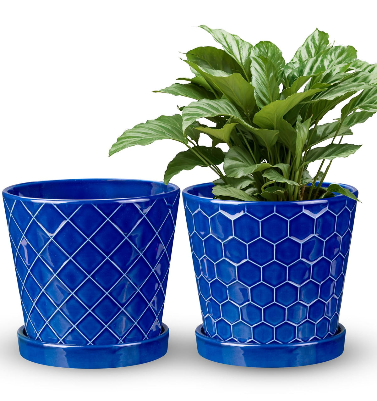 Efispss 6 Inch Pots For Indoor Plants,Ceramic Plant Pots,Planters With Drainage Hole And Saucer, Flower Pots Desktop Office Wind