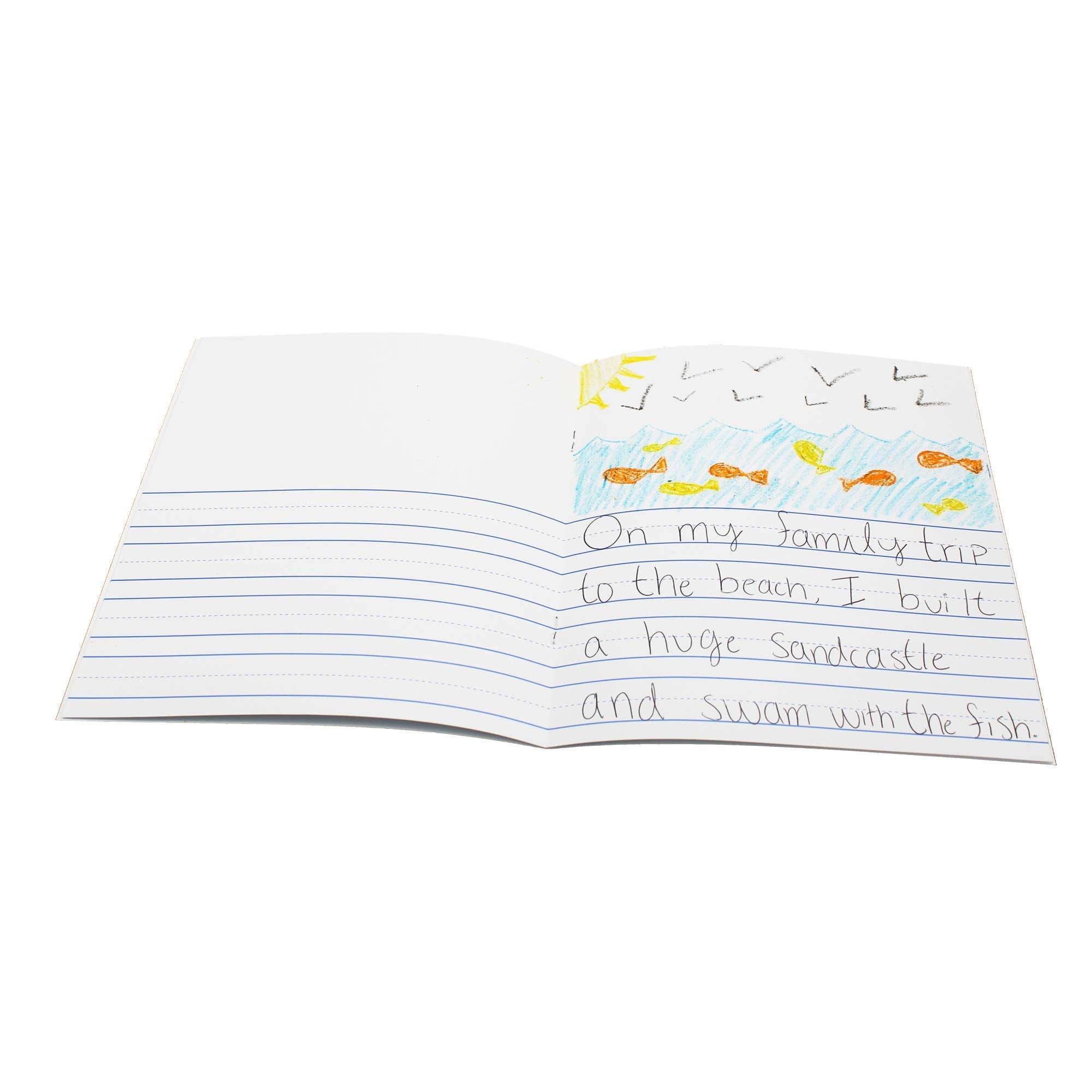 Softcover Thin Ruled Book 8.5X11 Portrait, Class Pack 24