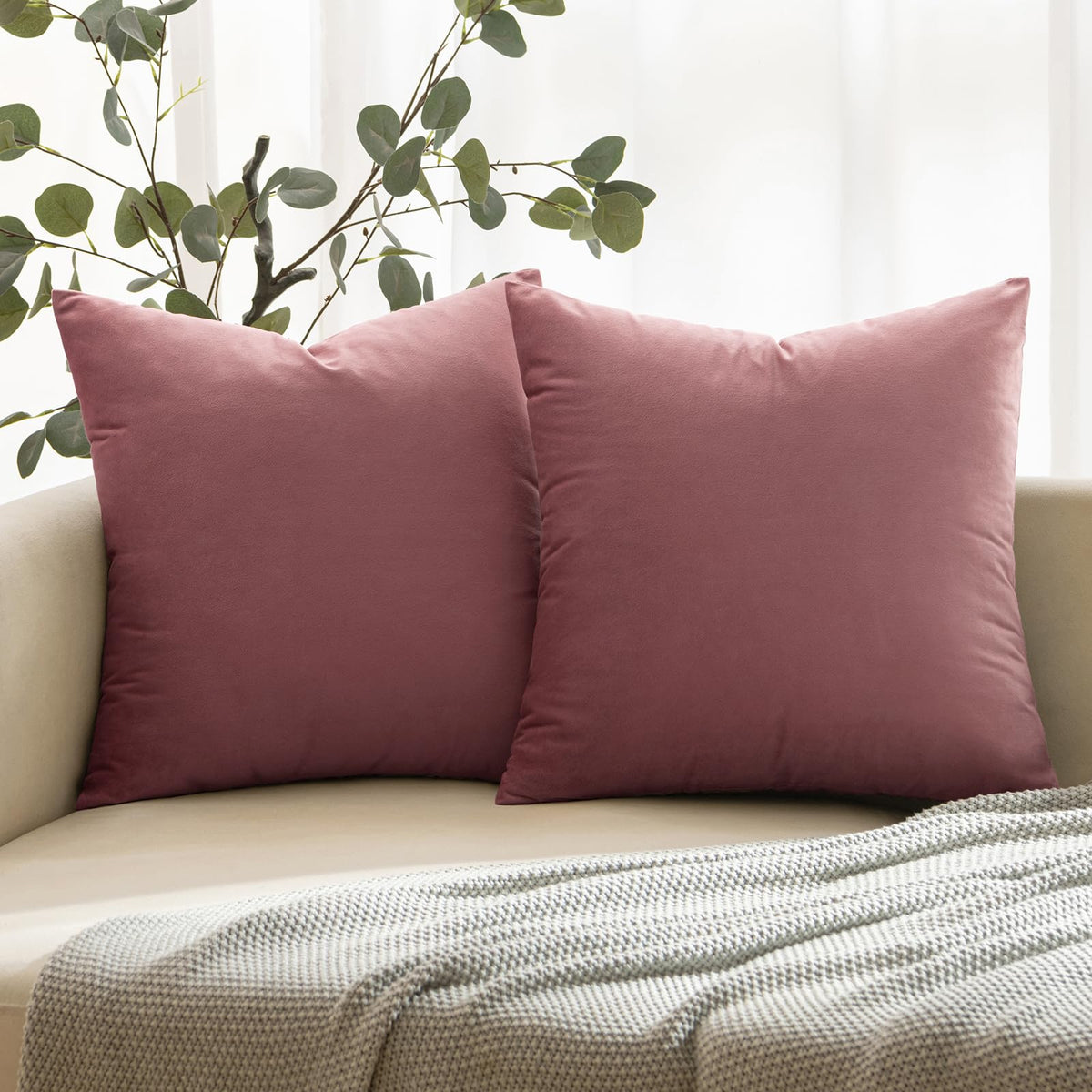 Anroduo Pack Of 2 Velvet Dusty Rose Throw Pillow Covers Decorative Pillow Covers Euro Cushion Case Soft Solid Square Cozy Modern