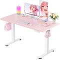 ErGear Height Adjustable Electric Standing Desk, 48 x 24 Inches Sit Stand up Desk, Memory Computer Home Office Desk with Pink Ca