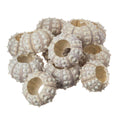 Nautical Crush Trading Sea Urchins Shells for Air Plants - 12 Purple Sputnik (1.5-3) Sea Urchin Shells - Hanging Air Plant Holde