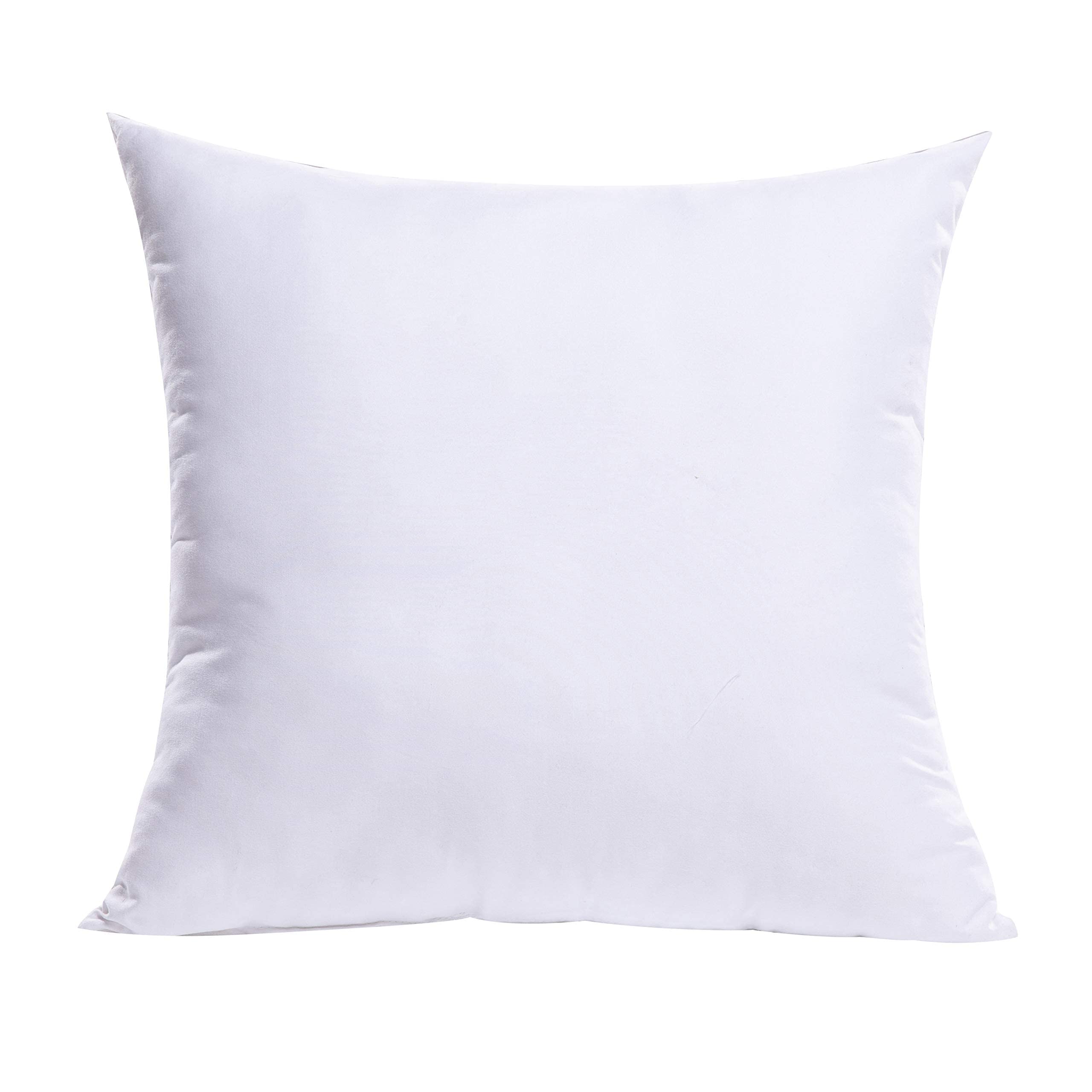 Miulee Throw Pillow Insert Premium Pillow Stuffer Sham Square For Decorative Cushion Bed Couch Sofa 22X22 Inch