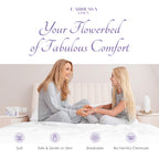Carressa Linen Luxury Egyptian Cotton 4 Pc Full Size Sheet Set - 600 Thread Count Deep Pocket Fitted And Flat Sheets, Soft, Cool