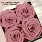 UFOREVER ROSES Preserved Roses in a Box, Dusty Pink Real Roses Gift for Her