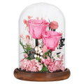 lovenfold Flowers for Delivery Prime Preserved Flowers Pink Roses with LED Light in a Glass Dome,Long Lasting Real Roses Birthda