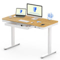 FLEXISPOT Comhar Electric Standing Desk with Drawer Desktop & Adjustable Frame w/USB Charge Ports (Bamboo-Look Laminate/White, W