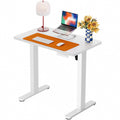 ErGear Height Adjustable Electric Standing Desk, 32 x 19 Inches Sit Stand up Desk with Memory Presets, Computer Home Office Desk