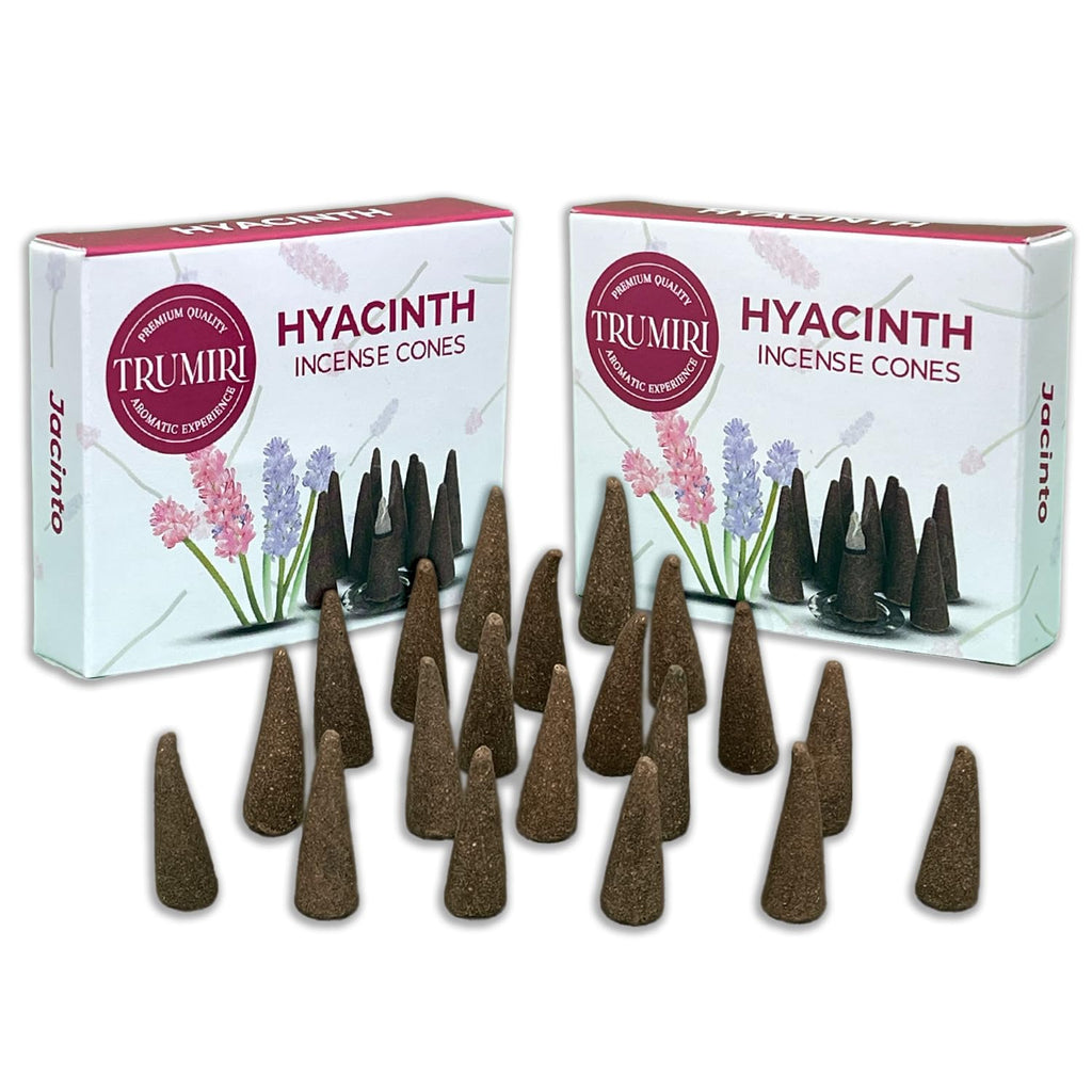 Hyacinth Incense Cones - Total 20 Cone Incense - Dual Pack of 10 Insence Cones - Incense Cones Scented - Cone Incense Scents - I