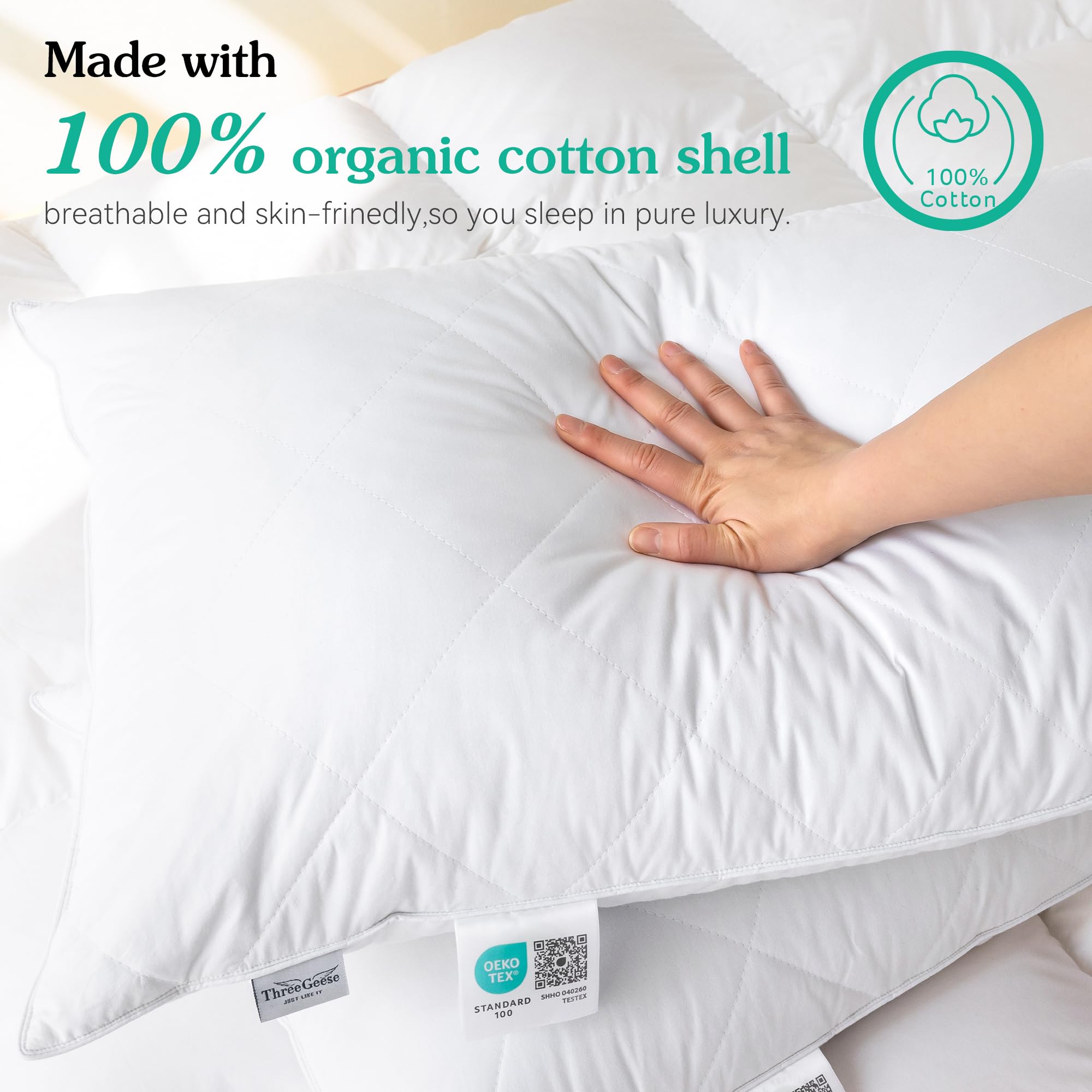 Three Geese White Goose Feather Bed Pillows Queen Size Set Of 2- Soft 600 Thread Count 100% Cotton, Medium Firm,Soft Support Sur