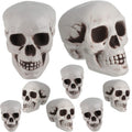 8 Pieces Halloween Skulls Realistic Looking Skulls Human Skeleton Head Skull for Halloween Bar Home Table Decoration (3.1 x 3.5 