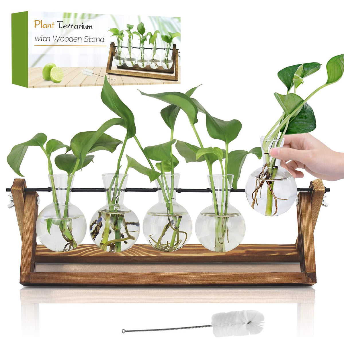 Renmxj Plant Propagation Station, Gifts For Women, Home Office Garden Decor Planter(5 Bulb Vase)