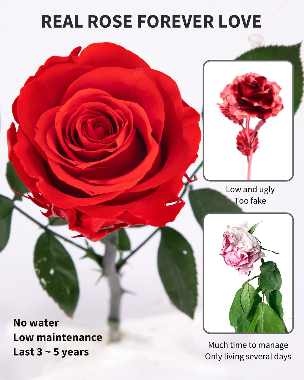 Mothers Day Rose Flower Gifts For Mom From Daughter And Son, Mom Gifts For Grandma, Unique Birthday Gifts For Women, Preserved R