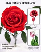 Mothers Day Rose Flower Gifts For Mom From Daughter And Son, Mom Gifts For Grandma, Unique Birthday Gifts For Women, Preserved R