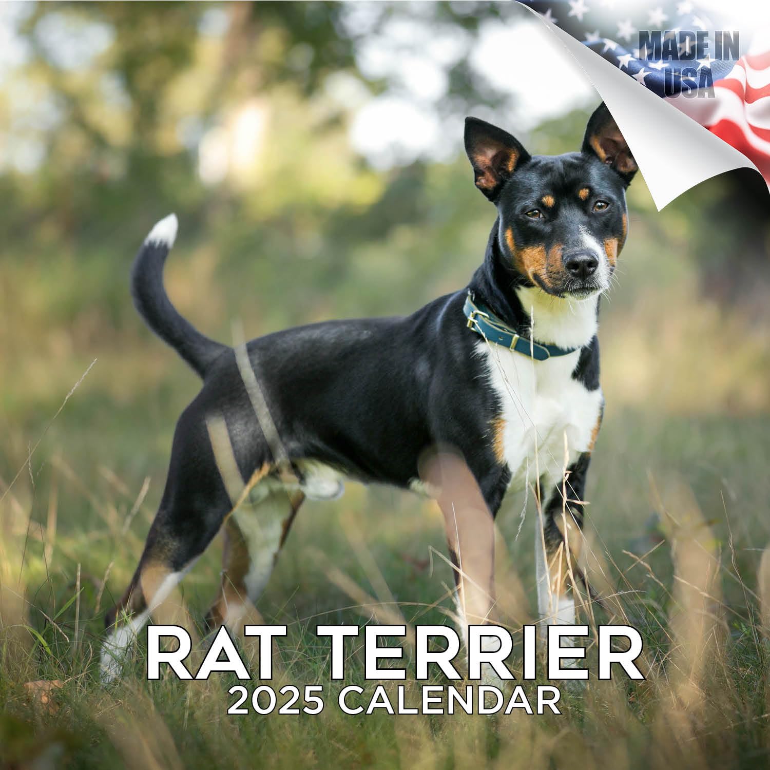 2024 2025 Rat Terrier Calendar - Dog Breed Monthly Wall Calendar - 12 X 24 Open - Thick No-Bleed Paper - Giftable - Academic Tea