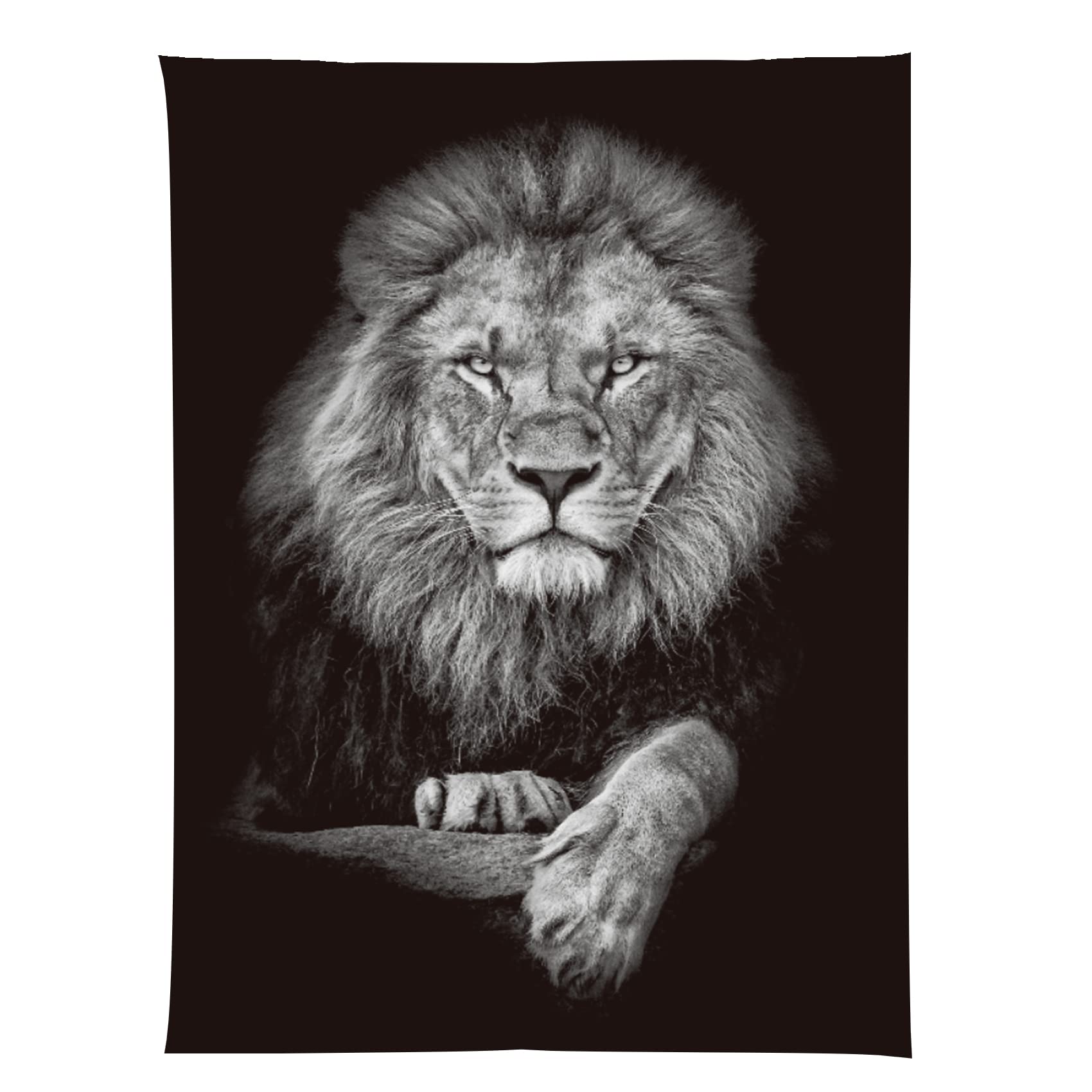 Jaccaws Black And White Lion Tapestry Wall Hanging,Wild Animal Wall Art Lion Tapestry,59'X 79' Lion Tapestry For Bedroom Livin