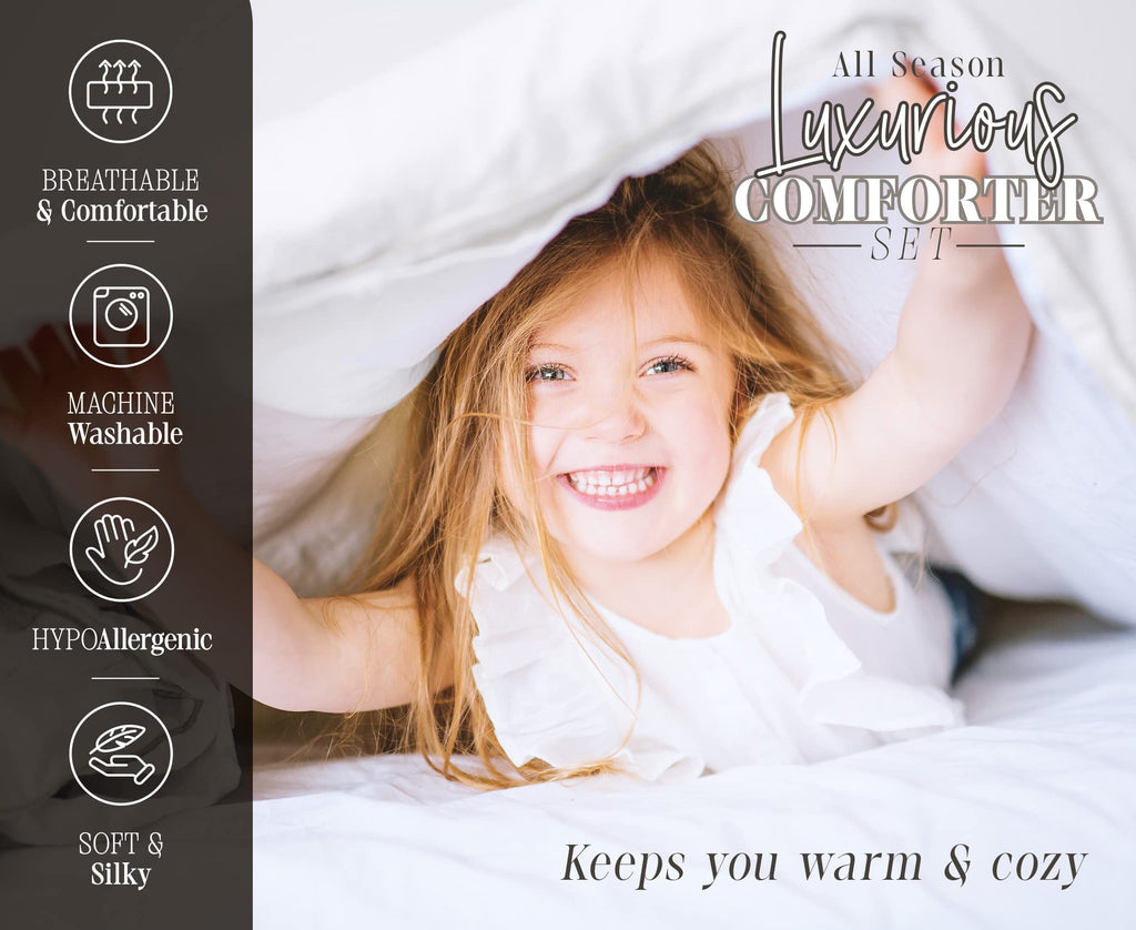 Elegant Comfort Softest, Coziest, 10Pc Pleated Bed-In-A-Bag, Ruched Ruffle Comforter Set Featuring Decorative Pillows And Fitted