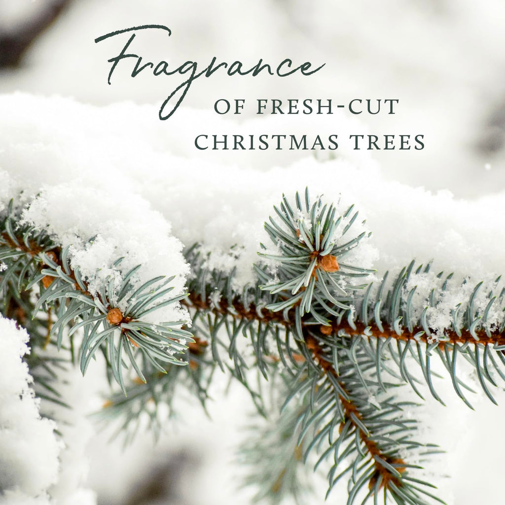 Thymes Luminary Frasier Fir Candle - Scented Candle - Luxury Home Fragrance - Home Decor & Bathroom Accessories - Frasier Fir Pi