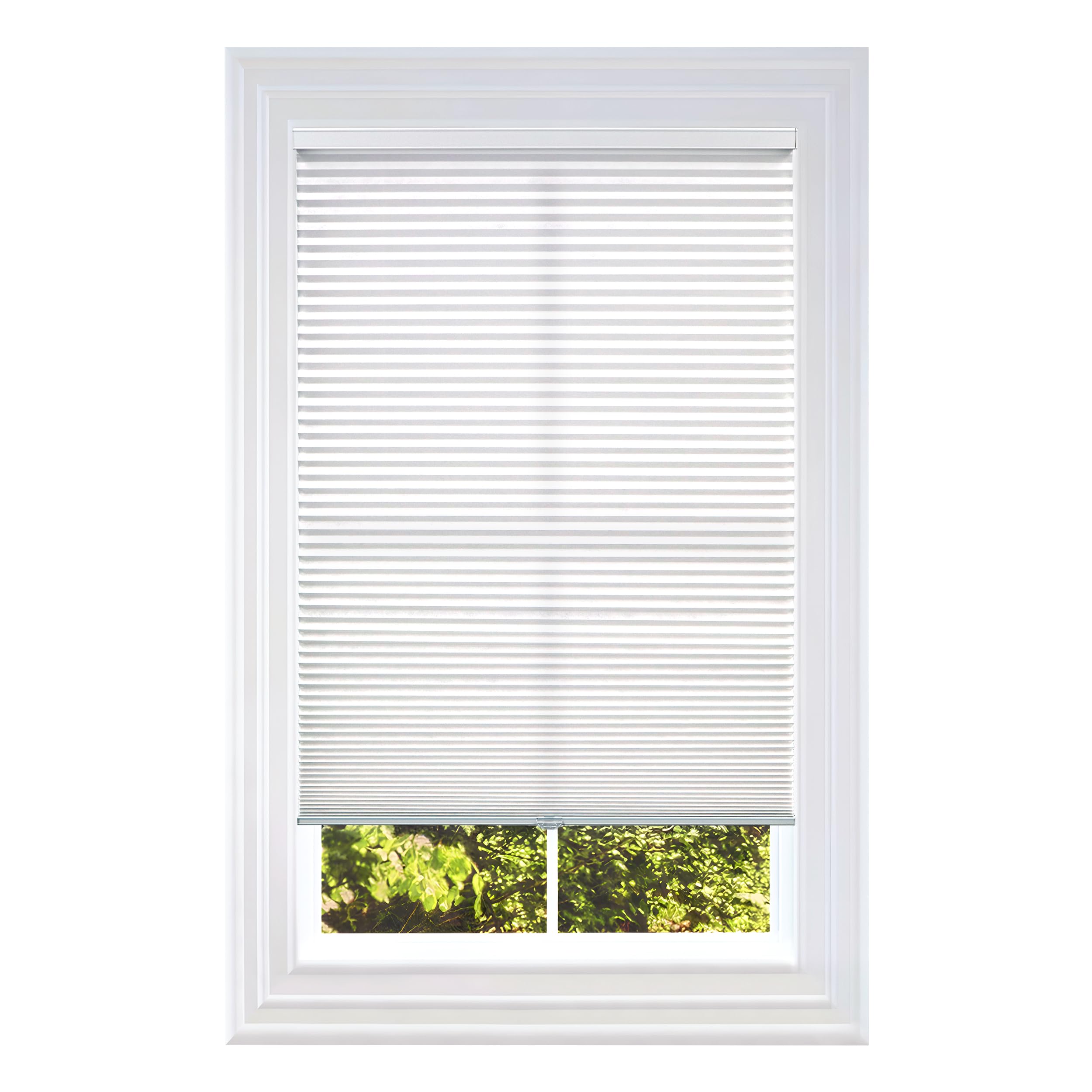 BlindsAvenue Cellular Honeycomb Cordless Shade, 9/16 Single Cell, Light Filtering, (White, 36 W x 72 H)