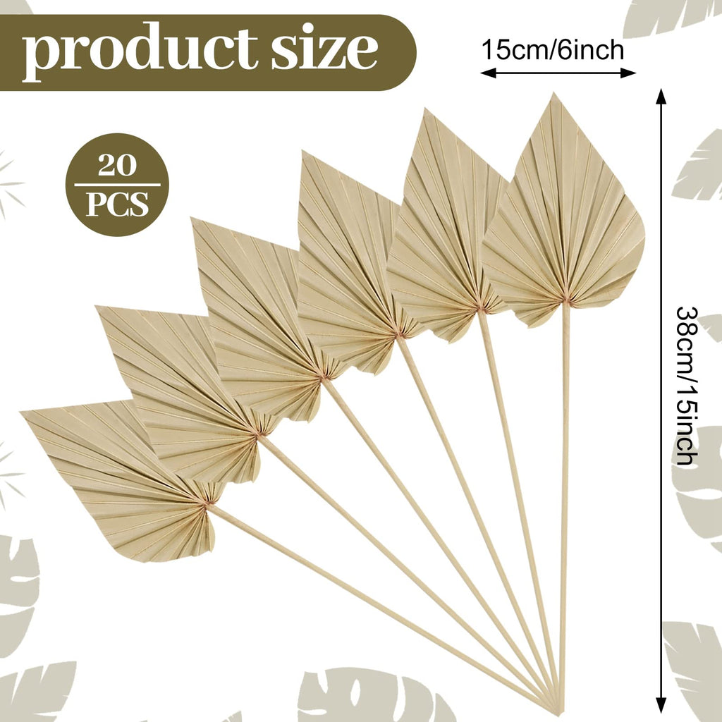 Chenkaiyang 20 Pcs Boho Dried Palm Spears Leaves Bulk, Small Natural Dried Real Palm Fans,Dried Palm Leaves With Stem Dried Leaf