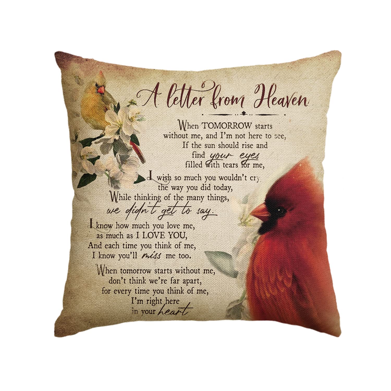 Avoin Colorlife Cardinalis A Letter From Heaven Throw Pillow Covers, 18 X 18 Inch Northern Cardinal Daily Life In Memory Commemo
