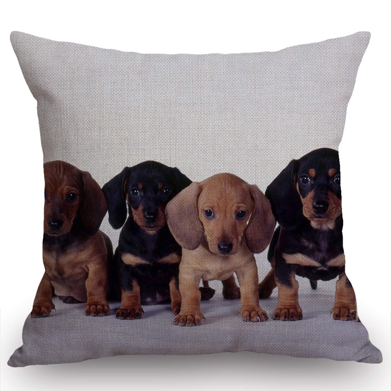 Swono Throw Pillow Case Dachshund Puppies Cotton Linen Square Cushion Cover Standard Pillowcase For Men Women Home Decorative So
