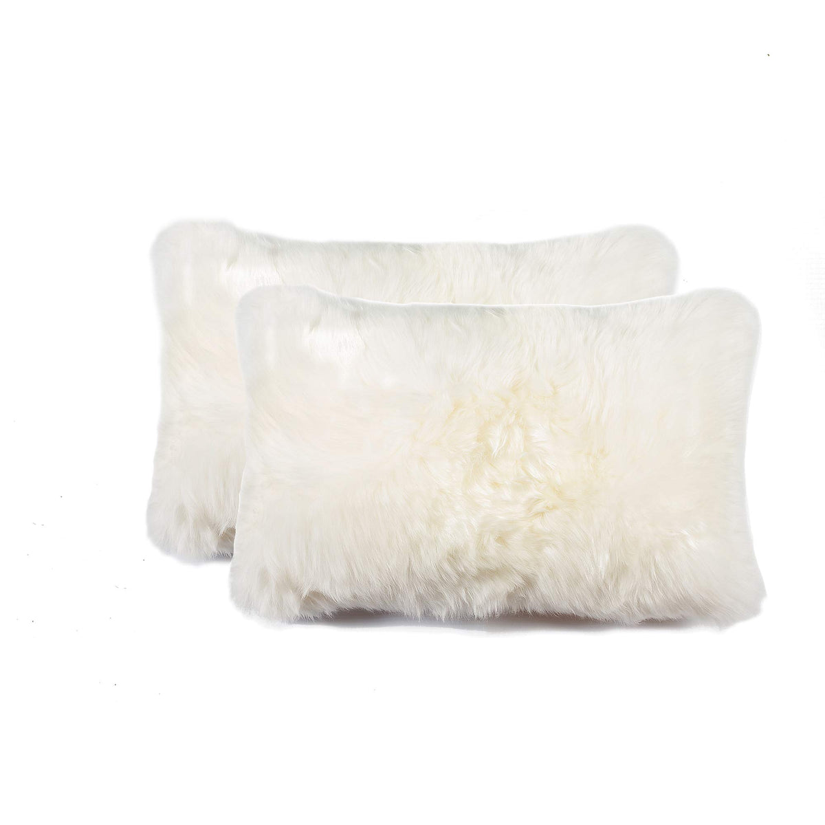 HomeRoots New Zealand Sheepskin, Microsuede, Polyfill 12' x 20' x 5' Natural Sheepskin - Pillow 2pcs