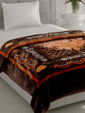 Monte Carlo Single Bed Winter Blanket Impact Plus 1 Ply Super Soft 625 GSM | 2.2 KG (220x160 CM), Chocolate Brown