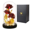 Valentines Day Gifts for Her,Preserved Flowers Bouquets Gifts,Light Up Rose Flower in Glass Dome,Natural Lasting Rose Bouquets, 