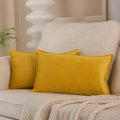 Juspurbet Lemon Decorative Velvet Throw Pillow Covers 16X24 Inch Set Of 2,Broadside Soft Cushion Case With Invisible Zipper For