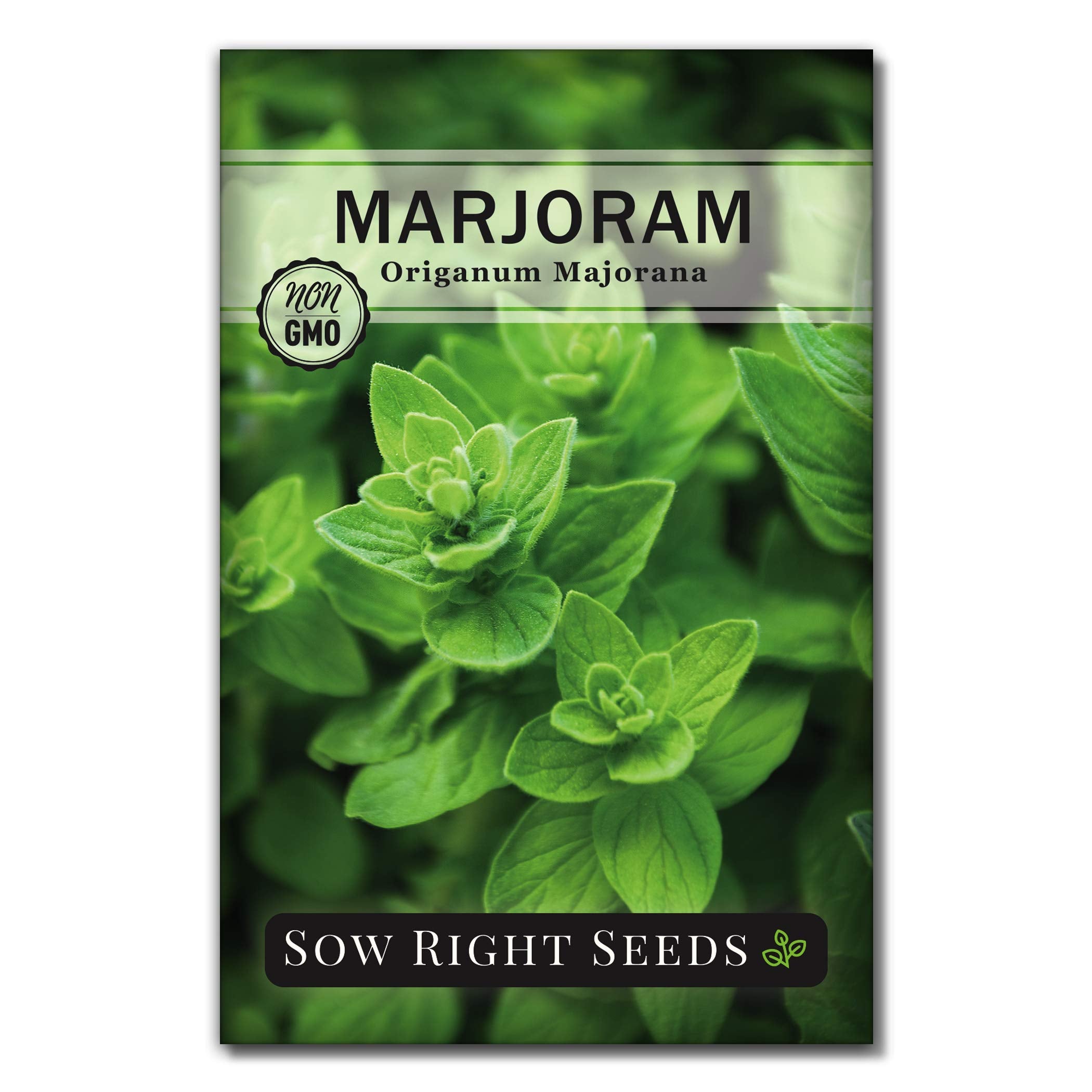 Sow Right Seeds - Marjoram Seeds For Plantin - Non-Gmo Heirloom Packet With Instructions To Grow A Beautiful Herb Garden - Plant