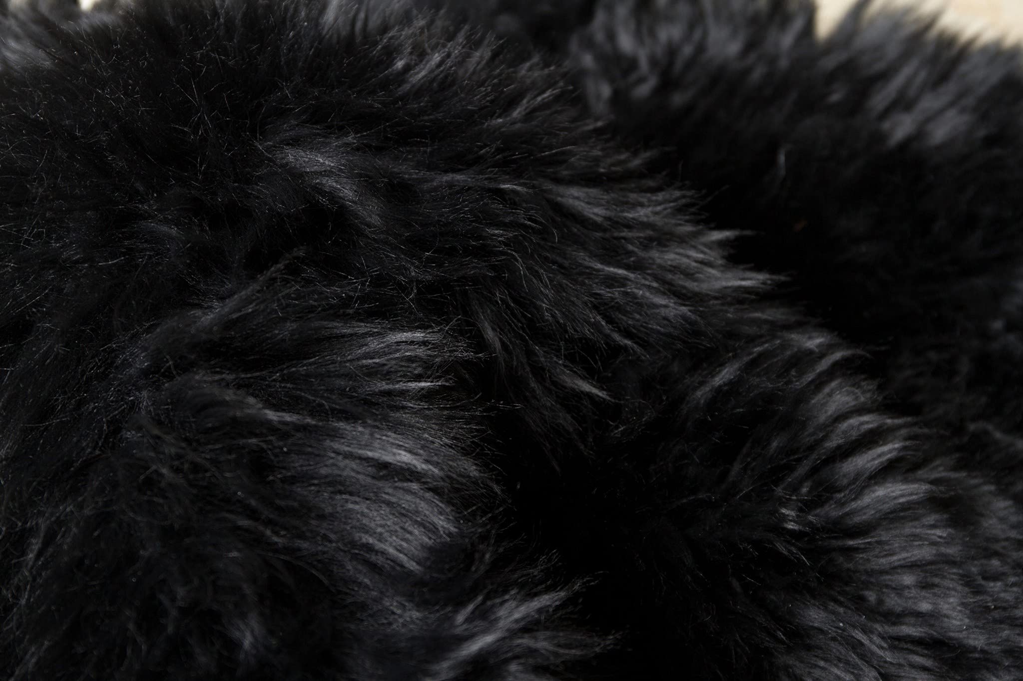 HomeRoots New Zealand Sheepskin, Microsuede 3' x 5' Black Natural Sheepskin Area Rug