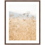 Framed Art Wild Fennel by Crystal Lynn Collins