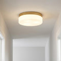 11 Inch Brass Metal And Glass Flush Mount Ceiling Light