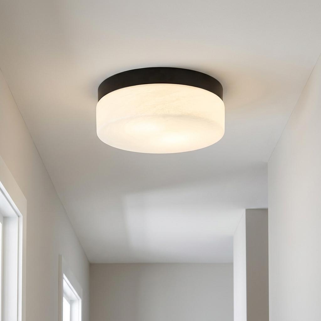11 Inch Black Metal And Frosted Glass Flush Mount Ceiling Light