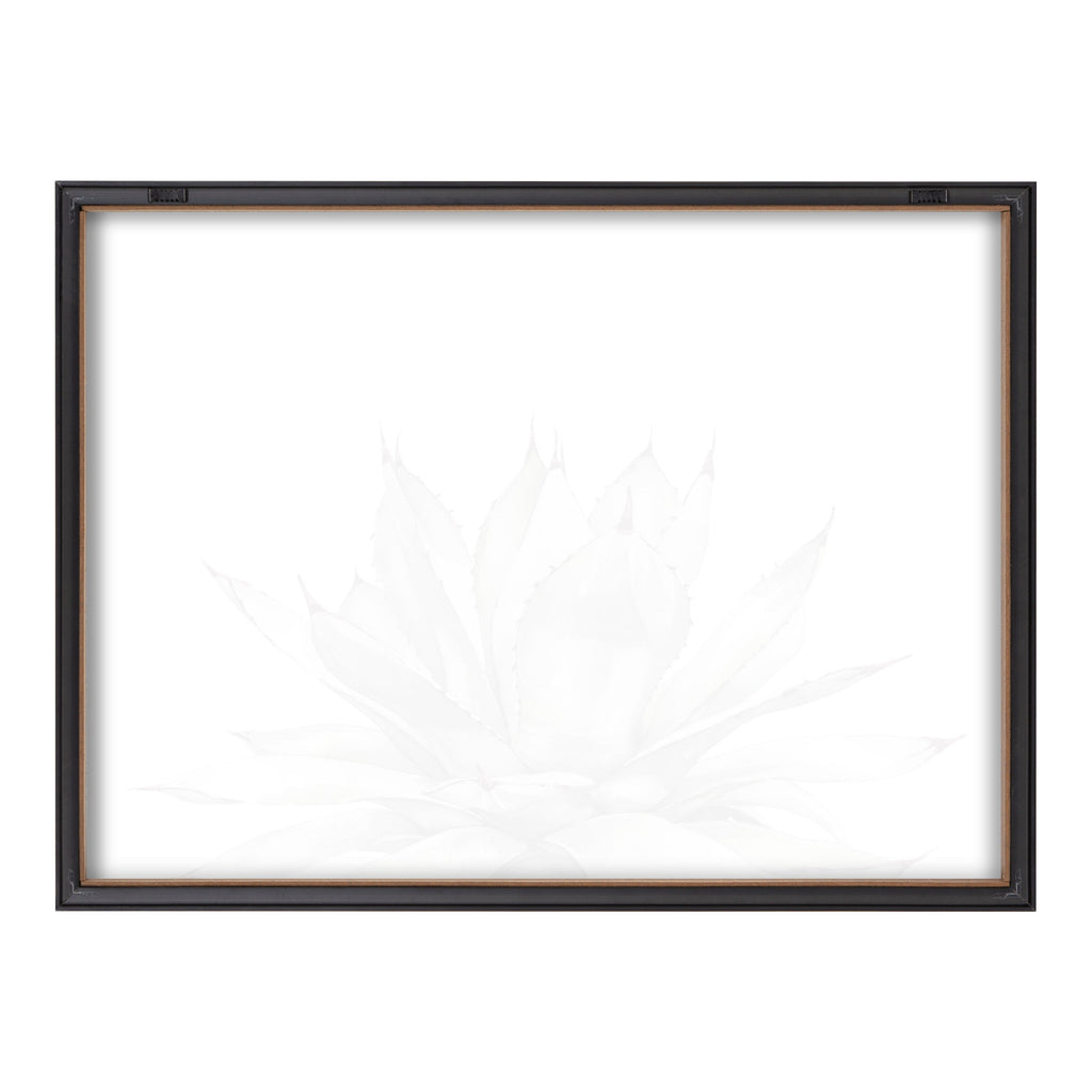 Blake Parrys Agave Framed Printed Glass by Emily Marie Watercolors