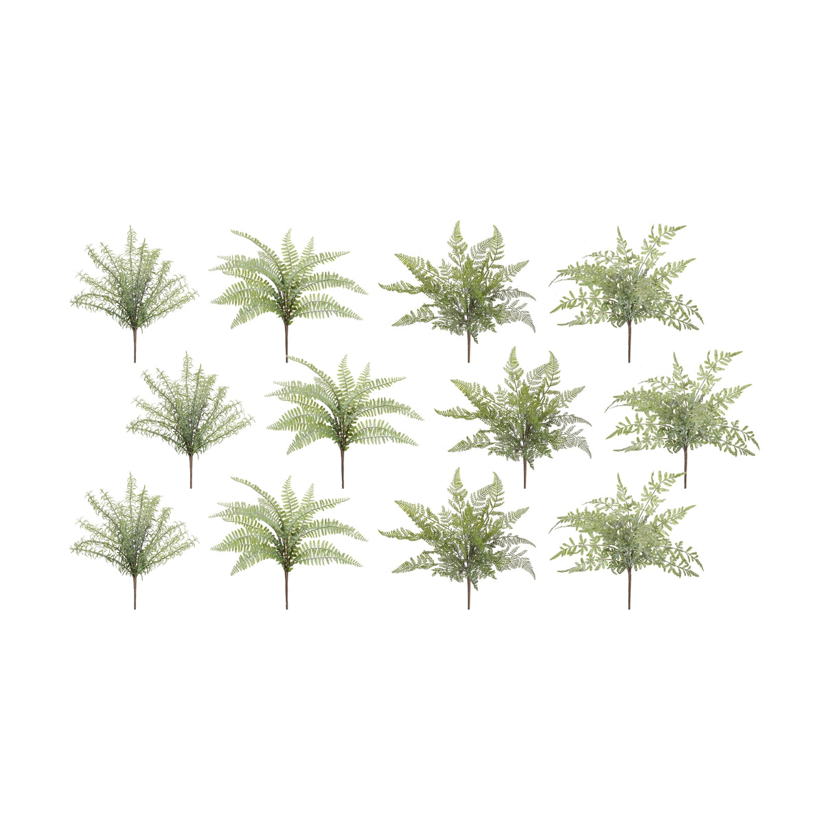 Fern Bush (Set of 12)