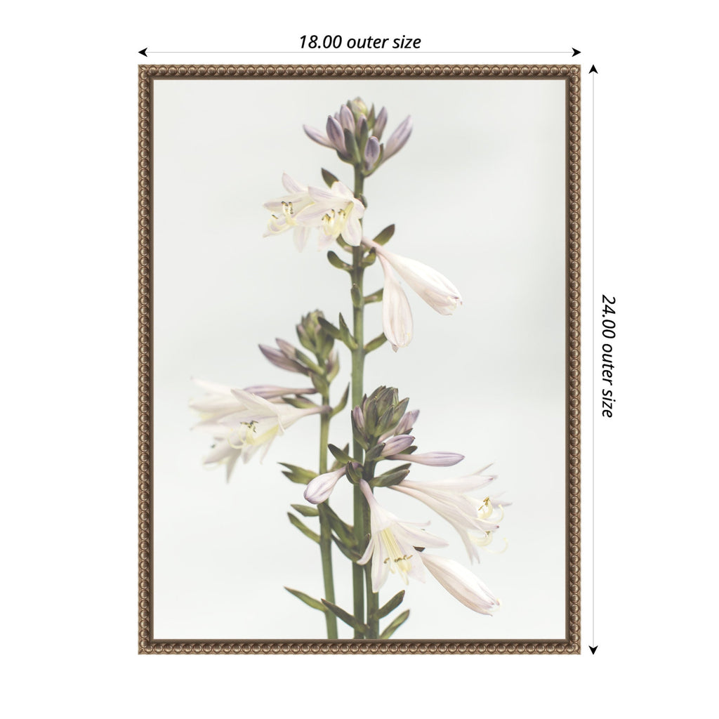 Sylvie Hosta Framed Canvas by Alicia Abla